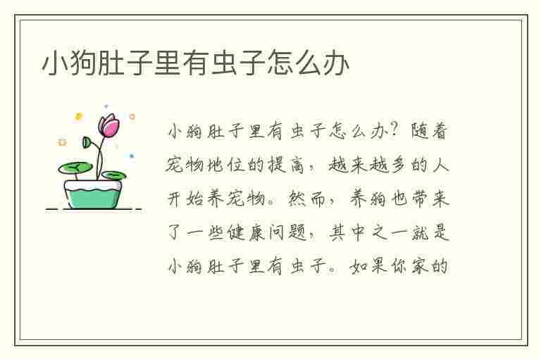 小狗肚子里有虫子怎么办(小狗肚子里有虫子怎么办吃什么药)